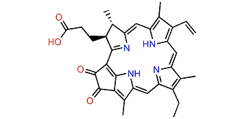13(2)-Oxopyrophaeophorbide a